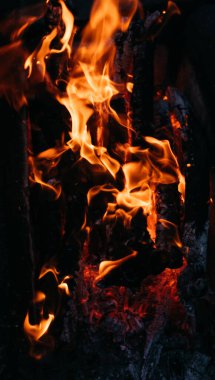 Ateşin parlak kırmızı alevleri. Kül ve kömür. Karanlık bir arka planda alevler. Sıcak kömür, barbekü yeri. Ateşin yanında açık hava eğlencesi..