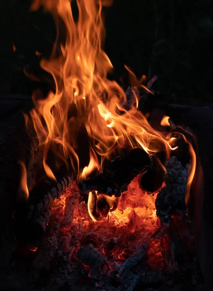Jasnoczerwone płomienie ognia. Popioły i węgle. Płomienie na ciemnym tle. Gorące, czerwone węgle, miejsce na grilla. Rekreacja na świeżym powietrzu w pobliżu ognia. — Zdjęcie stockowe