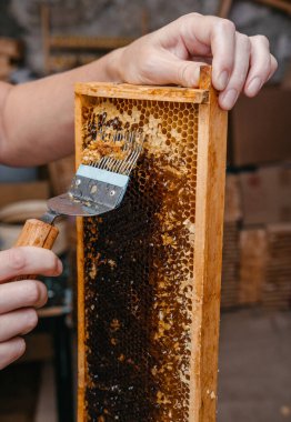 Arı ahşap çerçevesinde özel bir aletle balı aç. Bal peteği için uzun bir bıçak. Lezzetli ve sağlıklı bal bal peteğine mühürlendi..