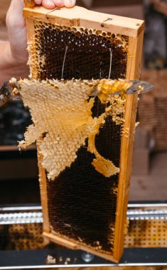 Arı ahşap çerçevesinde özel bir aletle balı aç. Bal peteği için uzun bir bıçak. Lezzetli ve sağlıklı bal bal peteğine mühürlendi..