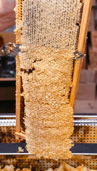 Open honey in a bee wooden frame with a special tool. Long working knife for honeycomb. Delicious and healthy honey sealed in a honeycomb.