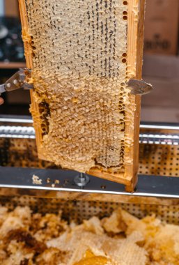 Arı ahşap çerçevesinde özel bir aletle balı aç. Bal peteği için uzun bir bıçak. Lezzetli ve sağlıklı bal bal peteğine mühürlendi..