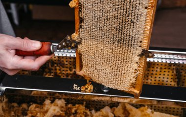 Arı ahşap çerçevesinde özel bir aletle balı aç. Bal peteği için uzun bir bıçak. Lezzetli ve sağlıklı bal bal peteğine mühürlendi..