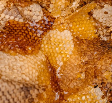 İnce bal katmanları yığının içinde yatıyor. Üzerinde bal ve balmumu var. Kalıntılar, kovanın çerçevesinden balı çıkardıktan sonra. Arıcılık. Bal peteğinin dokusu.