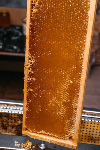 Tahta çerçeveli ballı bal peteği. Arı kovanı, arıcılık. Bal yaz hasadının küçük bir kısmı. Lezzetli ve sağlıklı arı ürünleri.