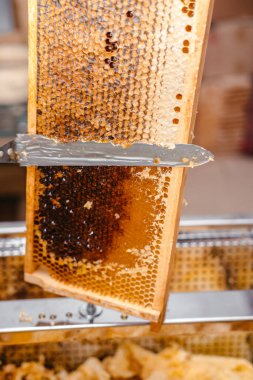 Arı ahşap çerçevesinde özel bir aletle balı aç. Bal peteği için uzun bir bıçak. Lezzetli ve sağlıklı bal bal peteğine mühürlendi..