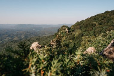 Uzaktaki kayalık dağın güzel manzarası. Ulusal Park ve Kafkas Dağları. Etrafta kayalar, dağlar ve sık orman var. Rusya 'nın Doğası.