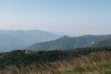 Çimler sallanıyor ve kır çiçekleri dağların arka planında yetişiyor. Ulusal Park ve Kafkas Dağları. Etrafında kayalar, dağlar ve sık orman var..