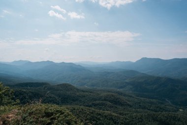 Ulusal Park 'taki güzel kayalık dağlar. Rusya 'nın doğası. Dağın tepesinden ormana, vadiye ve diğer dağlara kadar panoramik yaz manzarası.
