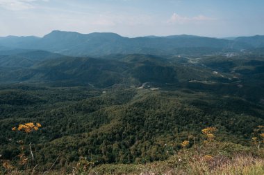Ulusal Park 'taki güzel kayalık dağlar. Rusya 'nın doğası. Dağın tepesinden ormana, vadiye ve diğer dağlara kadar panoramik yaz manzarası.