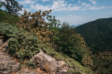 Ulusal Park 'taki güzel kayalık dağlar. Rusya 'nın doğası. Kayalık bir dağın tepesinden orman ve vadiye güzel bir panoramik manzara.