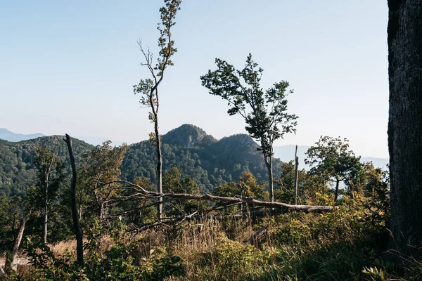Ulusal Park 'taki güzel kayalık dağlar. İki başlı kayalık dağın panoramik manzarası. Rusya 'daki Kafkasya doğa rezervlerinin dağları ve manzaraları.