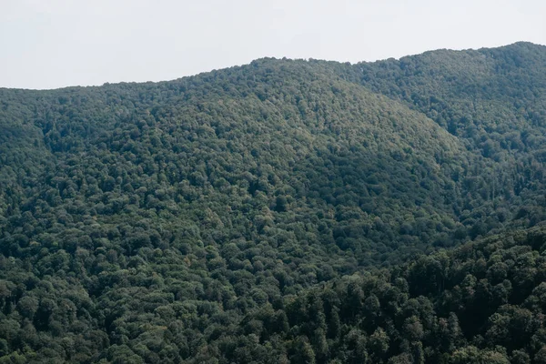 Uzaktan yoğun yaprak döken orman. Ulusal Park 'taki güzel kayalık dağlar. Rusya 'nın Doğası.