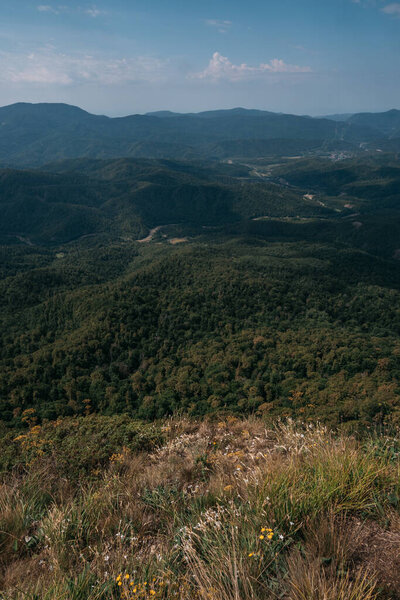 Красивые скалистые горы в национальном парке. Природа России. Панорамный летний пейзаж от вершины горы до леса, долины и других гор.