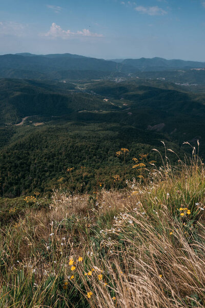 Красивые скалистые горы в национальном парке. Природа России. Панорамный летний пейзаж от вершины горы до леса, долины и других гор.
