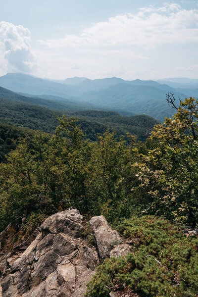 Красивые скалистые горы в национальном парке. Природа России. Красивый панорамный вид с вершины скалистой горы на лес и долину.