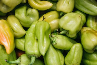 Tatlı yeşil dolma biber. Taze sebzeler, bahçedeki biberler. Lezzetli ve sağlıklı organik yiyecekler..