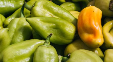 Tatlı yeşil dolma biber. Taze sebzeler, bahçedeki biberler. Lezzetli ve sağlıklı organik yiyecekler..