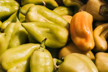 Tatlı yeşil dolma biber. Taze sebzeler, bahçedeki biberler. Lezzetli ve sağlıklı organik yiyecekler..