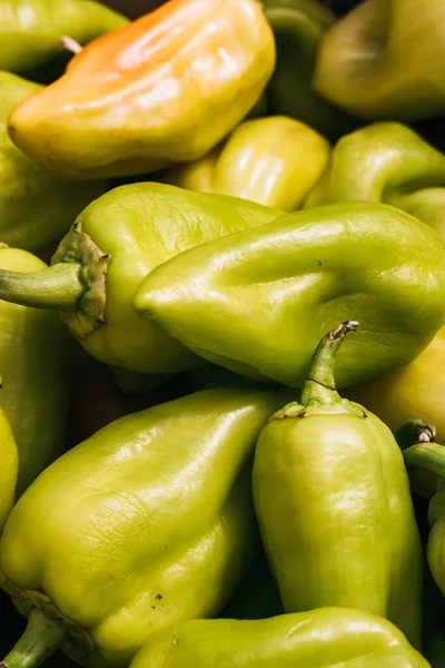 Sweet green bell pepper. Fresh vegetables, peppers from the garden close-up. Delicious and healthy organic food.