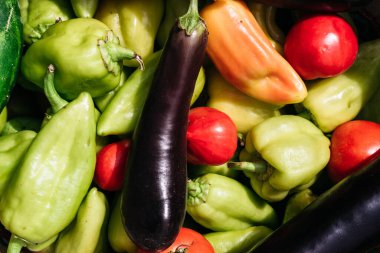 Seradan ve bahçeden yaz hasadı. Lezzetli ve sağlıklı vejetaryen organik yiyecekler. Çeşitli taze sebzeler yakın plan. Yeşil dolma biber, kırmızı domates ve mavi patlıcan..