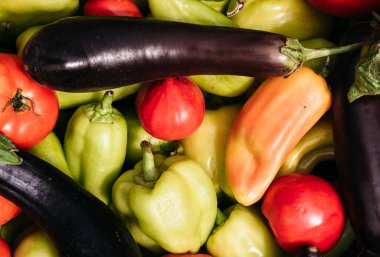 Seradan ve bahçeden yaz hasadı. Lezzetli ve sağlıklı vejetaryen organik yiyecekler. Çeşitli taze sebzeler yakın plan. Yeşil dolma biber, kırmızı domates ve mavi patlıcan..