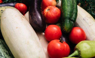Bir sürü farklı renkte taze toplanmış sebze. Yeşil kabak ve salatalık, kırmızı domates ve mavi patlıcan. Tatlı yeşil ve sarı biberli kırmızı biber. Vejetaryen yemeği, vejetaryen....