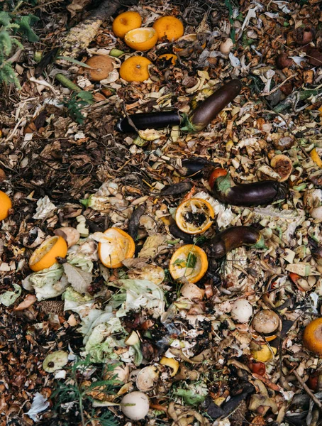 Rifiuti Domestici Compostaggio Frutta Verdura Giardino Cumulo Compost Colorato Pozzo — Foto Stock