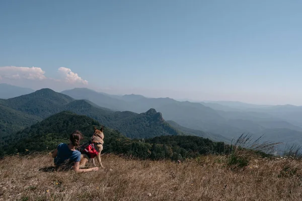 Genç bir gezgin kız, Alman çoban köpeğiyle bir dağın tepesinde oturuyor. Köpek gezgini en iyi arkadaşıyla dağlara gider ve doğanın ve güzel manzaranın tadını çıkarır..