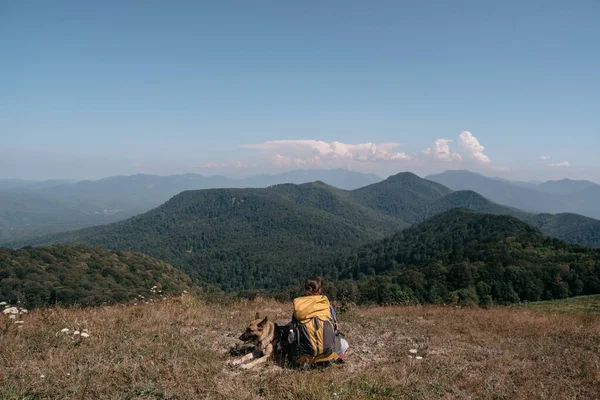 Köpek gezgini ve sırt çantalı insan sahibi ulusal parkta yürüyüp doğanın tadını çıkarıyorlar. Bir kız gezgin ve Alman çoban köpeği bir tepede oturur ve etraftaki dağlara bakarlar..