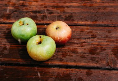 Kırmızı ve yeşil elmalar maun ahşap mutfak masasında yatar ve yukarıdan su damlar. Sonbahar hasadından toplanan taze elmaların üzerine temiz su damlaları dökülür..