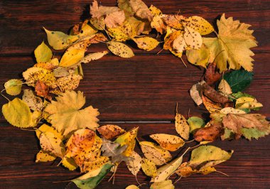 Sarı düşen sonbahar yaprakları. Sonbahar atmosferi, bitki örtüsü. Masanın üzerinde turuncu ve sarı yapraklar var, bir daire içinde yazı ve tasarım için boş bir alan var..