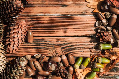 Ahşap masada bir sürü sarı yaprak, meşe palamudu, kestane ve yakınlardaki çam kozalakları. Metin için alanı olan sonbahar desenli arkaplan.