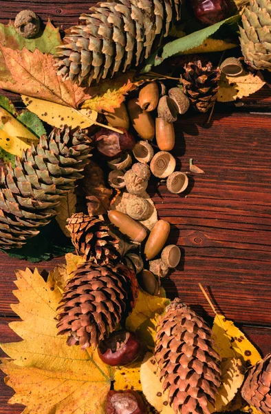 A lot of yellow fallen leaves on the brown wooden table, acorns and pine cones nearby. Autumn atmosphere and different yellow and orange leaves with cones and acorns fallen from the oak.