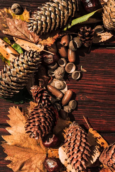 A lot of yellow fallen leaves on the brown wooden table, acorns and pine cones nearby. Autumn atmosphere and different yellow and orange leaves with cones and acorns fallen from the oak.
