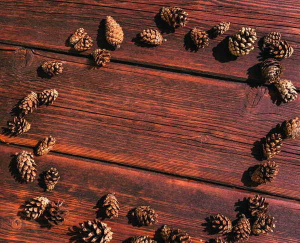 Wiele Małych Szyszek Sosnowych Leży Mahoniowym Drewnianym Stole Jesienne Teksturowane — Zdjęcie stockowe