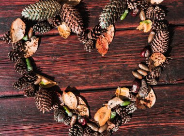 Bir sürü küçük çam kozalağı, sarı yapraklar ve yeşil meşe palamutları ahşap maun masa üzerinde kalp şeklinde. Sonbahar desenli arkaplan ve metin ve tasarım için bolca alan.