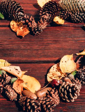 Bir sürü küçük çam kozalağı, sarı yapraklar ve yeşil meşe palamutları ahşap maun masa üzerinde kalp şeklinde. Sonbahar desenli arkaplan ve metin ve tasarım için bolca alan.