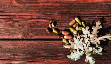 Ahşap bir masada meşe yaprağı ve meşe palamudu. Harfler ve tasarım için desenli sonbahar arkaplanı ve üzerinde bir sürü boş alan.