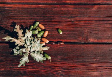 Ahşap bir masada meşe yaprağı ve meşe palamudu. Harfler ve tasarım için desenli sonbahar arkaplanı ve üzerinde bir sürü boş alan.