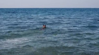 Bir kırmızı ve siyah Alman çoban köpeği denizde yüzüyor ve bir sopayla oynuyor. Köpek temiz bir gölette banyo yapar ve bir dal getirir..