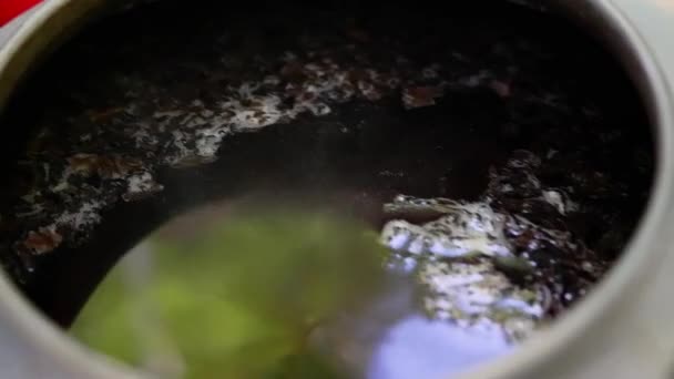 茶在煤气炉上的一个小茶壶里沸腾着 在大自然中沸腾的热饮 茶叶在水中密闭 — 图库视频影像