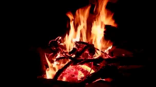 어두운 자연계에서 타오르는 불꽃이다 배경에 빨간색과 주황색 뜨거운 가지를 태우는 — 비디오