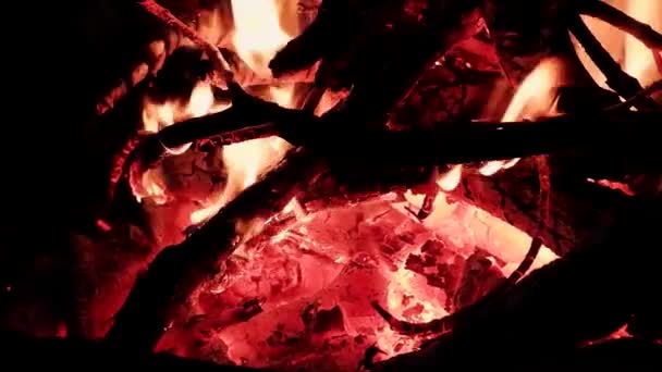 Ateşin Parlak Alevi Karanlık Bir Gecede Doğada Yanar Siyah Arka — Stok video