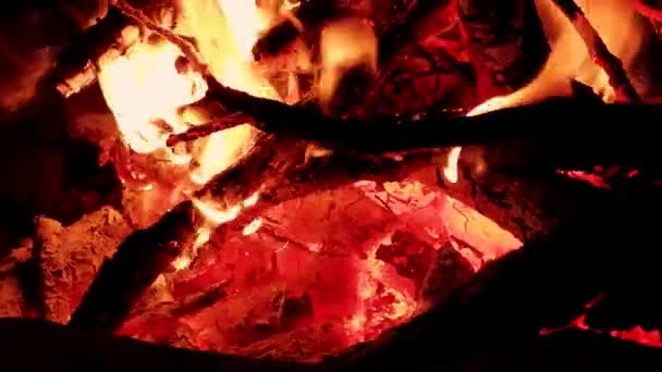 어두운 자연계에서 타오르는 불꽃이다 배경에 빨간색과 주황색 뜨거운 가지를 태우는 — 비디오