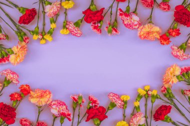 Karanfil çiçekler ve kopyalama alanı ile mavi arka plan. Üst te. Anneler Günü arka plan.