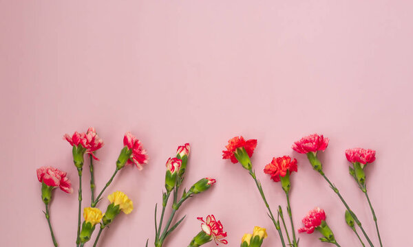 Розовый фон с гвоздиками цветы и копировать пространство. Вид сверху. День матери фон
.