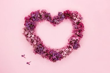 Pastel pembe arka plan üzerinde kalp şeklinde güzel leylak çiçekler. Üst te. Kopyalama alanı.