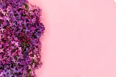 Pembe ve metin için yer üzerinde mor leylakile romantik arka plan