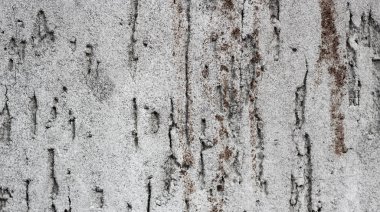 Pas ile hasarlı eski gri beton yüzey.